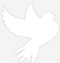 dove outline